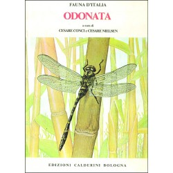 EB375 - Conci & Nielsen – Fauna d’Italia Vol. I: Odonata