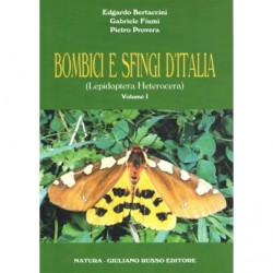 EB193 - Bertaccini et al. - Bombici e sfingi d'Italia 4 volumes