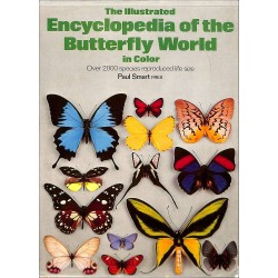 EB197 - Smart - Encyclopedia of the butterfly world